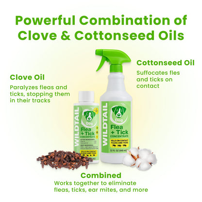 Flea & Tick Concentrate