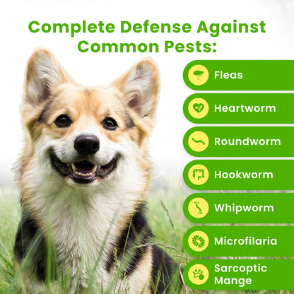 Flea & Tick Concentrate