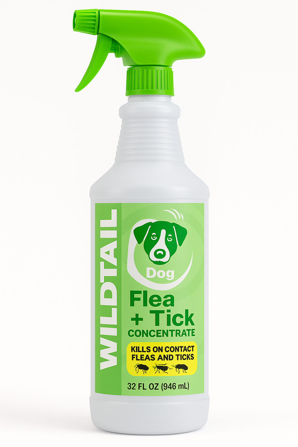 Refillable Spray Bottle